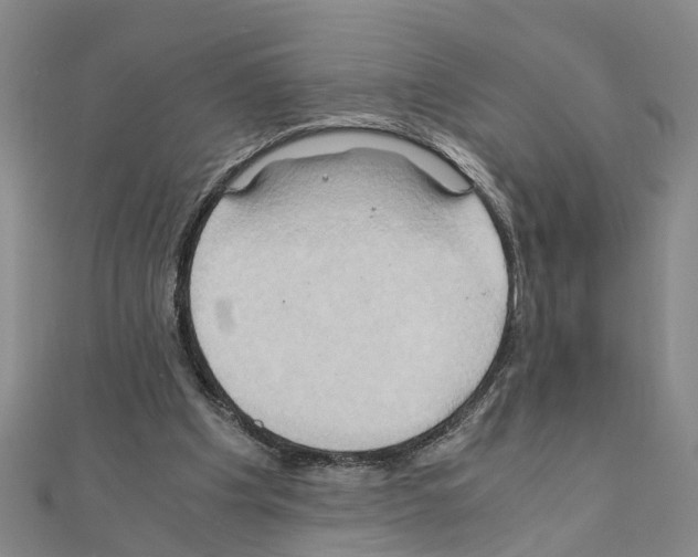 X0000111030201200908061443