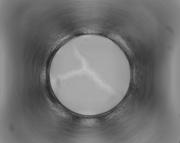 X0000111030202200908061443