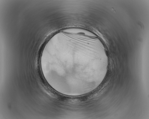 X0000111030203200908061443