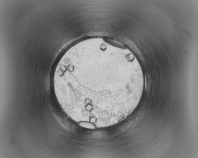 X0000111030204200908061443