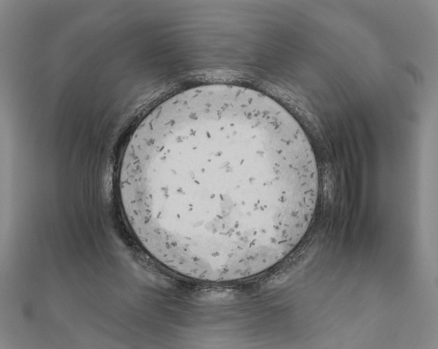 X0000111030206200908061443