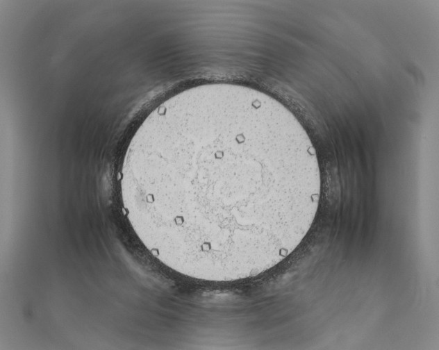 X0000111030208200908061443