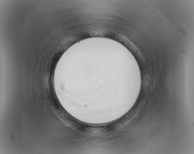 X0000111030209200908061443