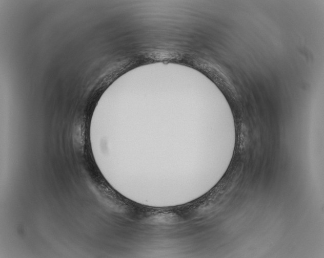 X0000111030210200908061443
