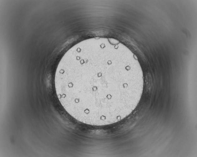 X0000111030212200908061443