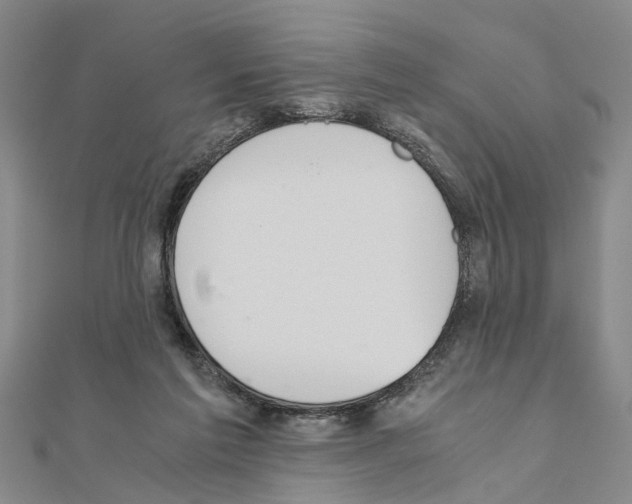 X0000111030213200908061443