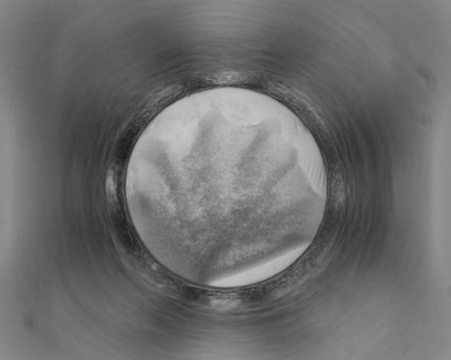 X0000111030214200908061443