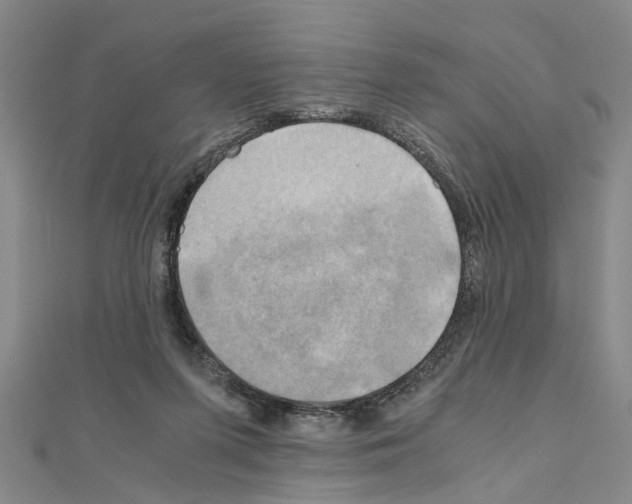 X0000111030215200908061443