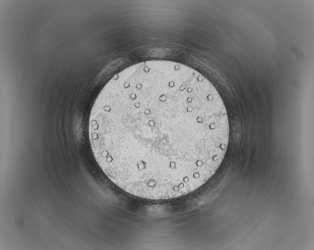 X0000111030216200908061443