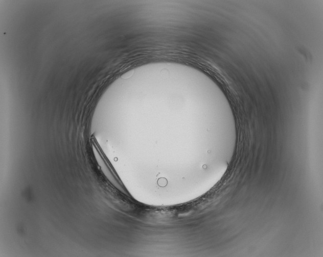 X0000111030217200908061443