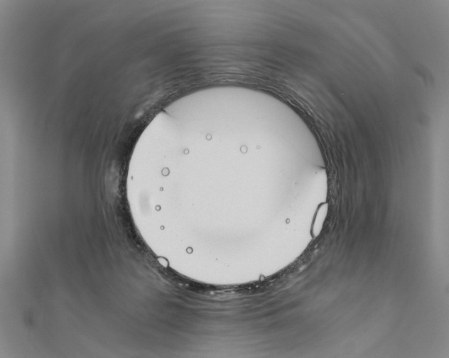 X0000111030219200908061442