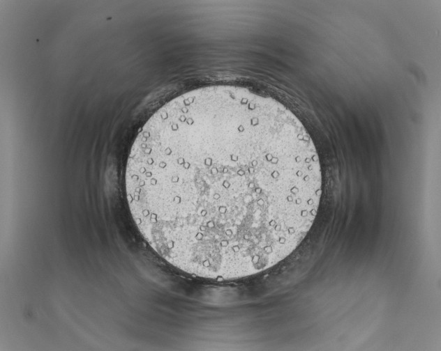 X0000111030220200908061442