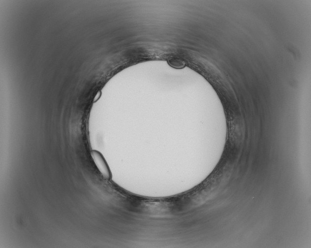 X0000111030221200908061442