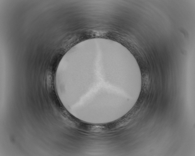 X0000111030222200908061442