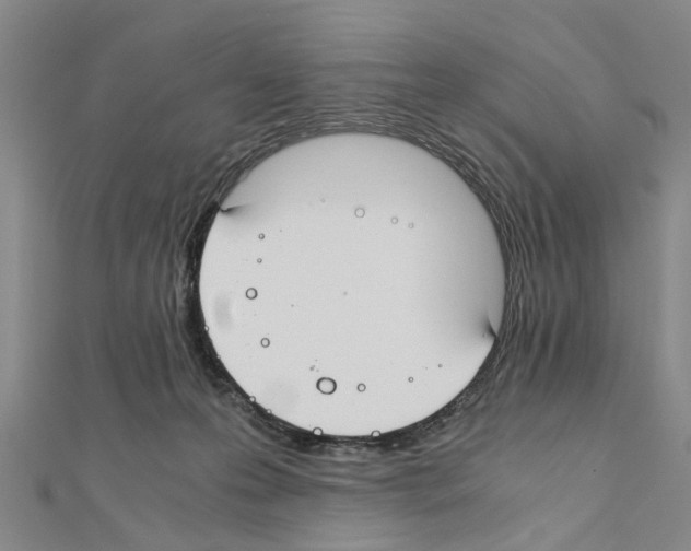 X0000111030223200908061442
