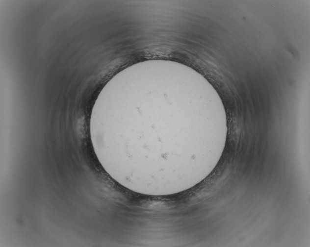 X0000111030224200908061442