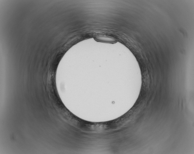 X0000111030225200908061442