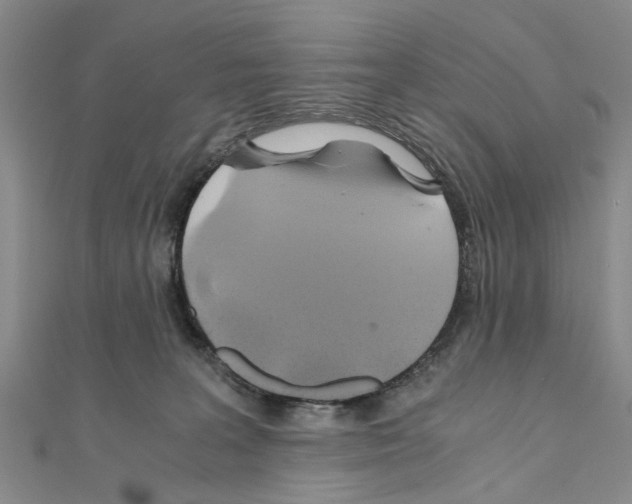 X0000111030227200908061442