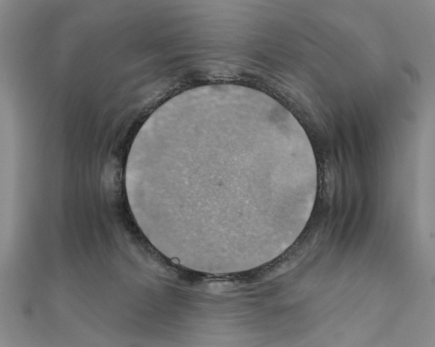 X0000111030228200908061442