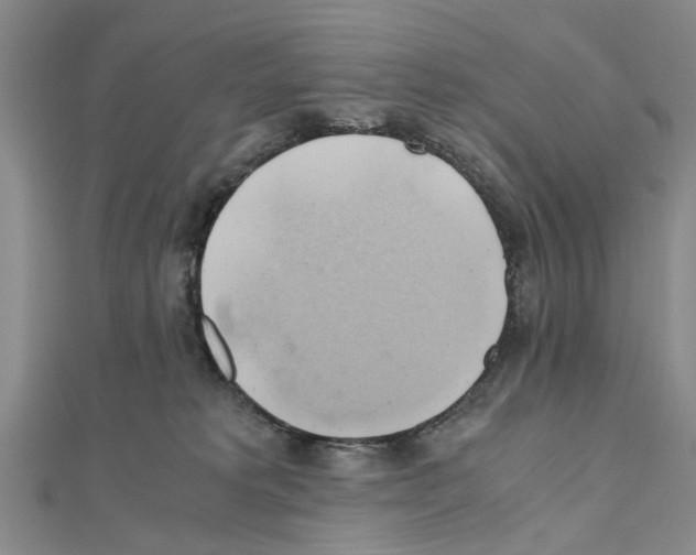 X0000111030229200908061442