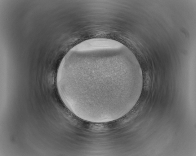 X0000111030230200908061442