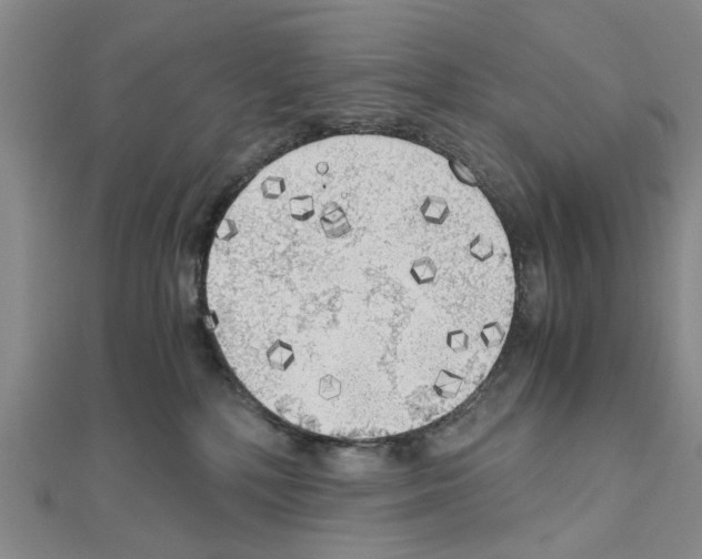 X0000111030232200908061442