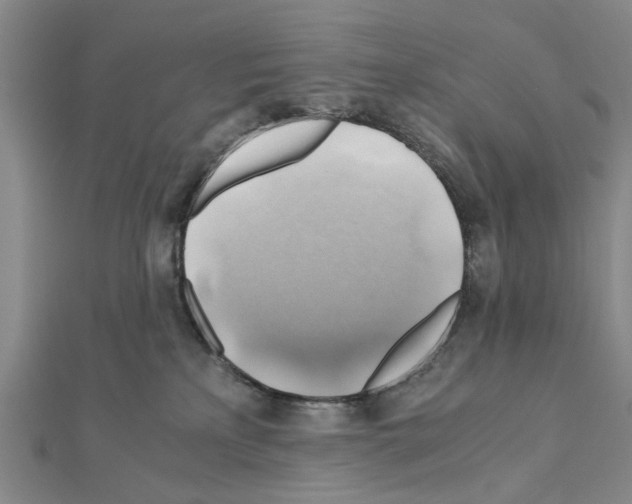 X0000111030233200908061442
