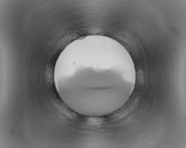 X0000111030234200908061442