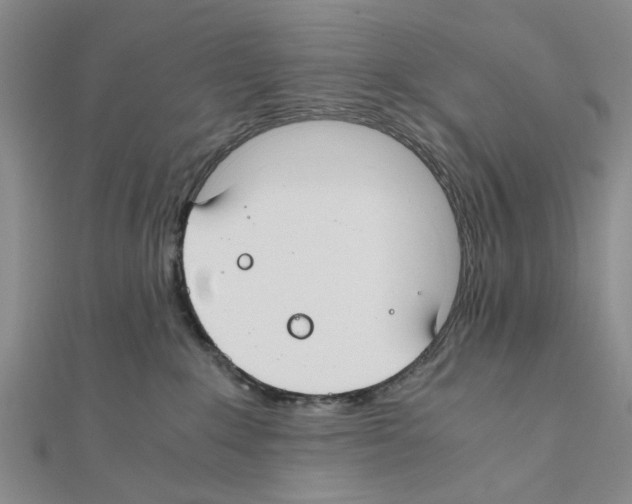 X0000111030235200908061442
