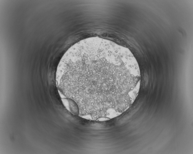 X0000111030236200908061442