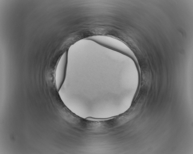 X0000111030237200908061442