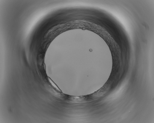 X0000111030239200908061442