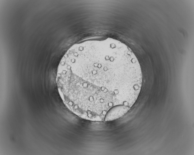 X0000111030240200908061442