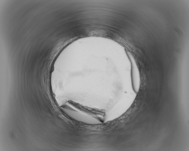 X0000111030241200908061442