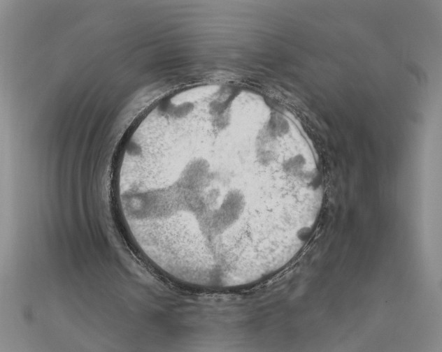 X0000111030242200908061442