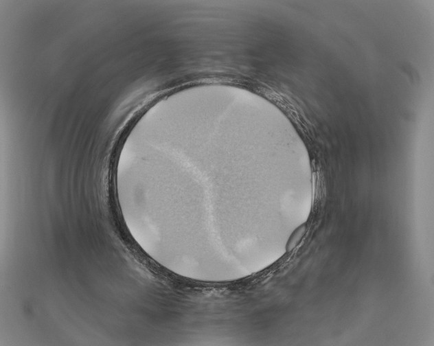 X0000111030243200908061442