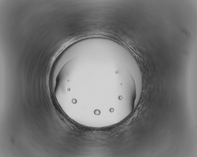 X0000111030244200908061442
