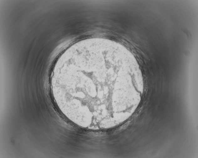 X0000111030245200908061442