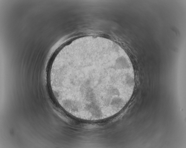 X0000111030246200908061442