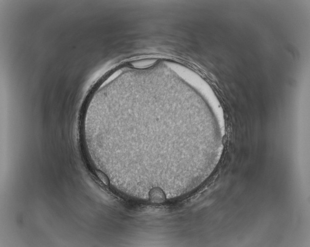 X0000111030248200908061442