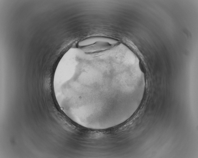 X0000111030249200908061442