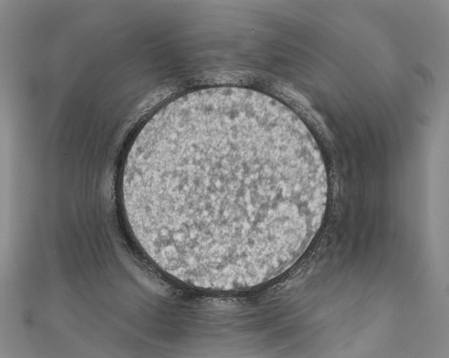X0000111030250200908061442