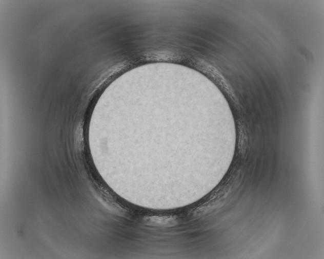 X0000111030251200908061442