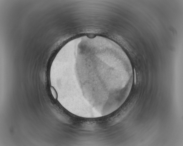 X0000111030252200908061442