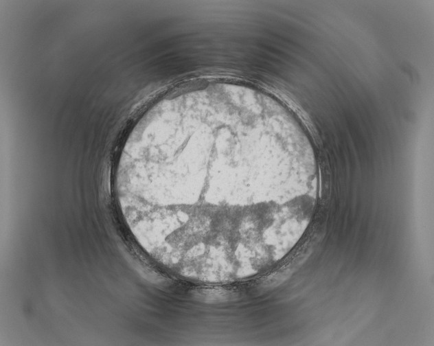 X0000111030253200908061442