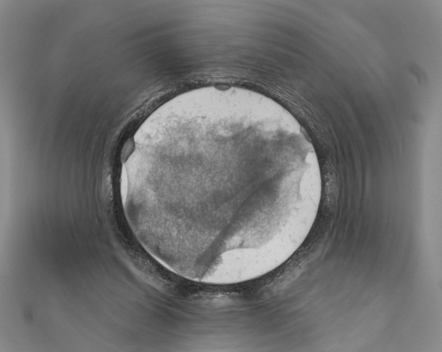 X0000111030254200908061442