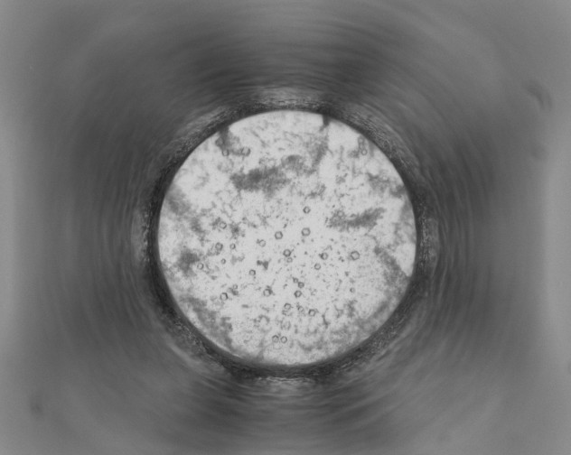 X0000111030255200908061442