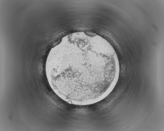 X0000111030259200908061442