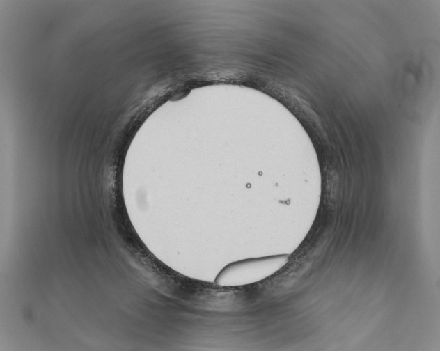 X0000111030260200908061442