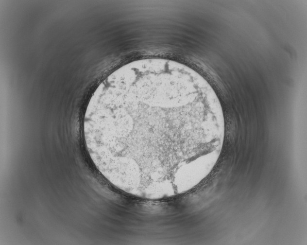 X0000111030261200908061442